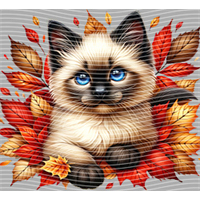 Animal Integration-DW 667